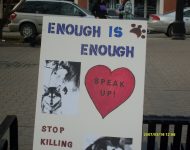 Calgary sled dog vigil