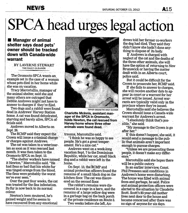 SPCA Urges Action 