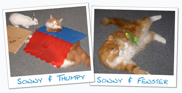Sonny and his pals Thumpy and Fenster